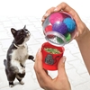 Picture of KONG Catnip Infuser